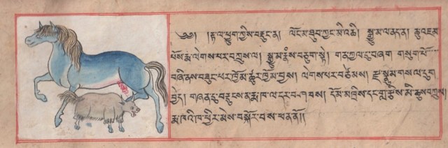 EVM Tibetan text