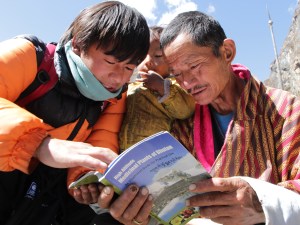 Identifying medicinal plants used by herders in the north of Bhutan. 